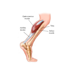 injury