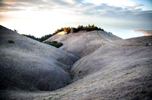 frozen hills