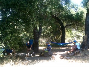 minimalist Forbush aid station. Glad there were there with water and shade.